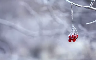 Préparer son corps pour l’hiver