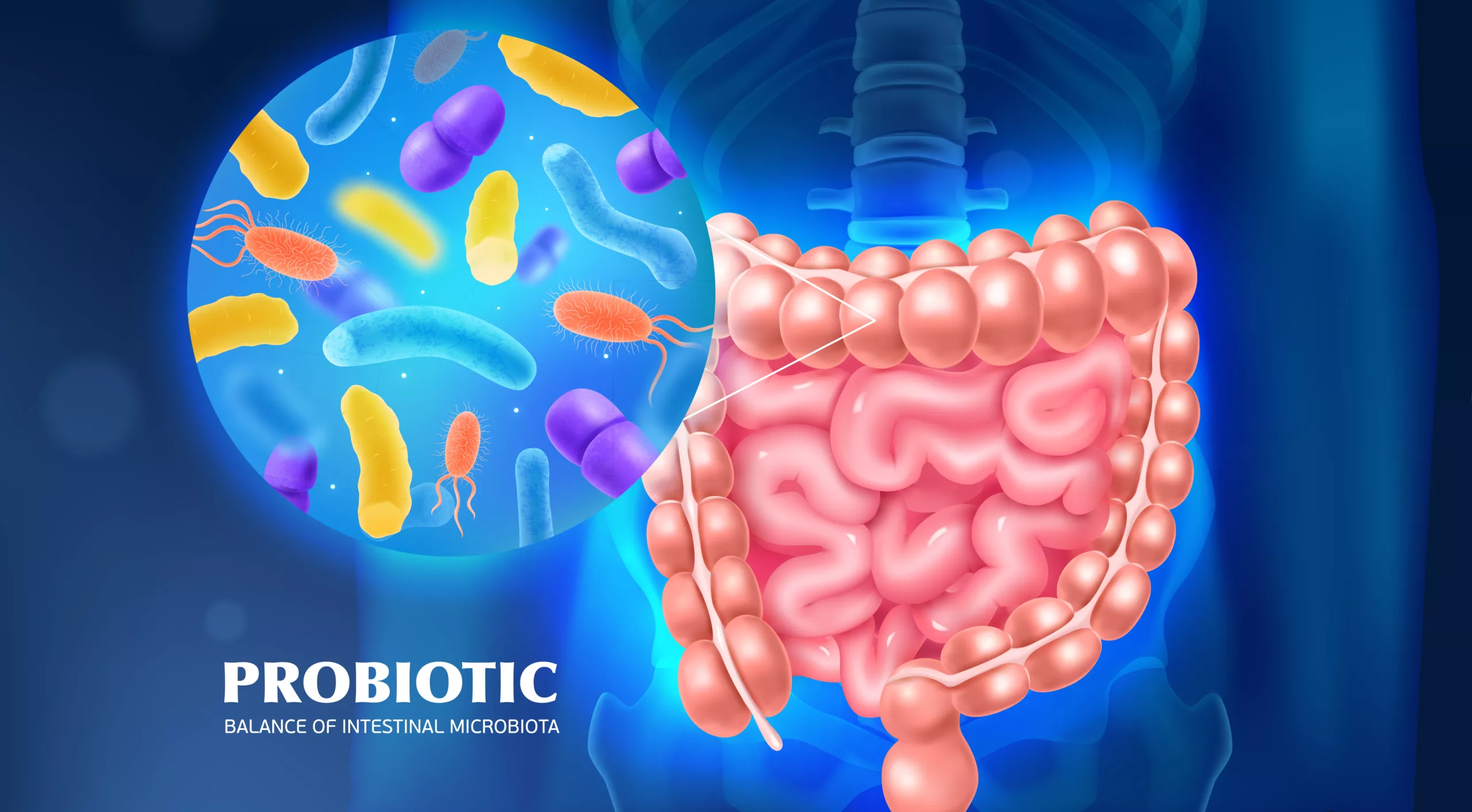 Microbiota probiotique nutritionniste intestin