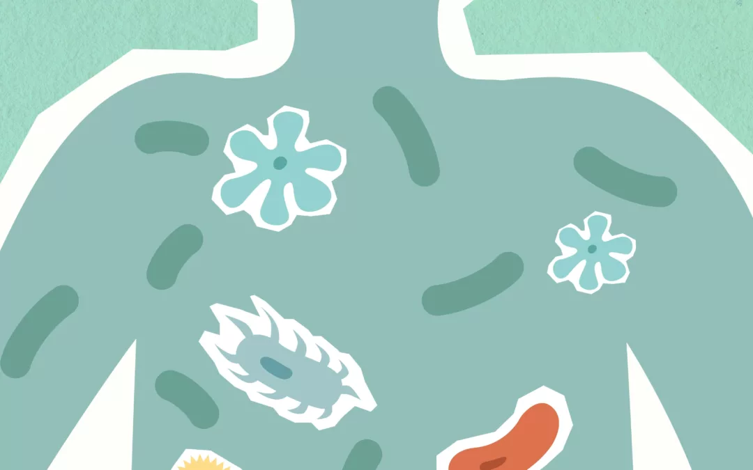 Microbiote intestinal et santé