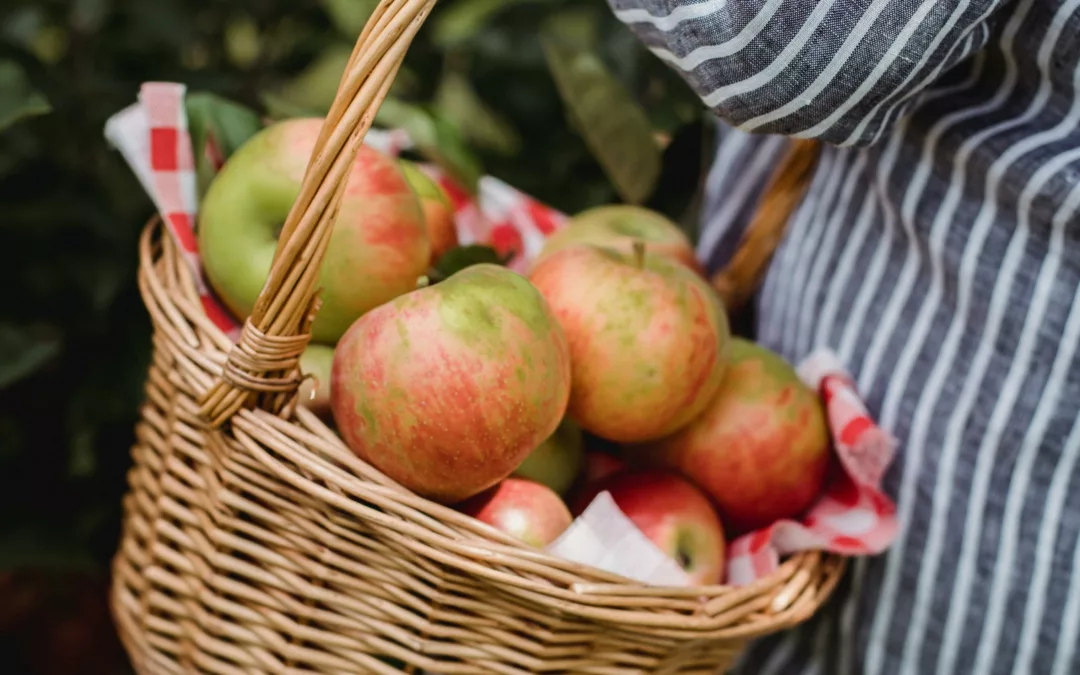 Alimentation durable et éco-responsable 