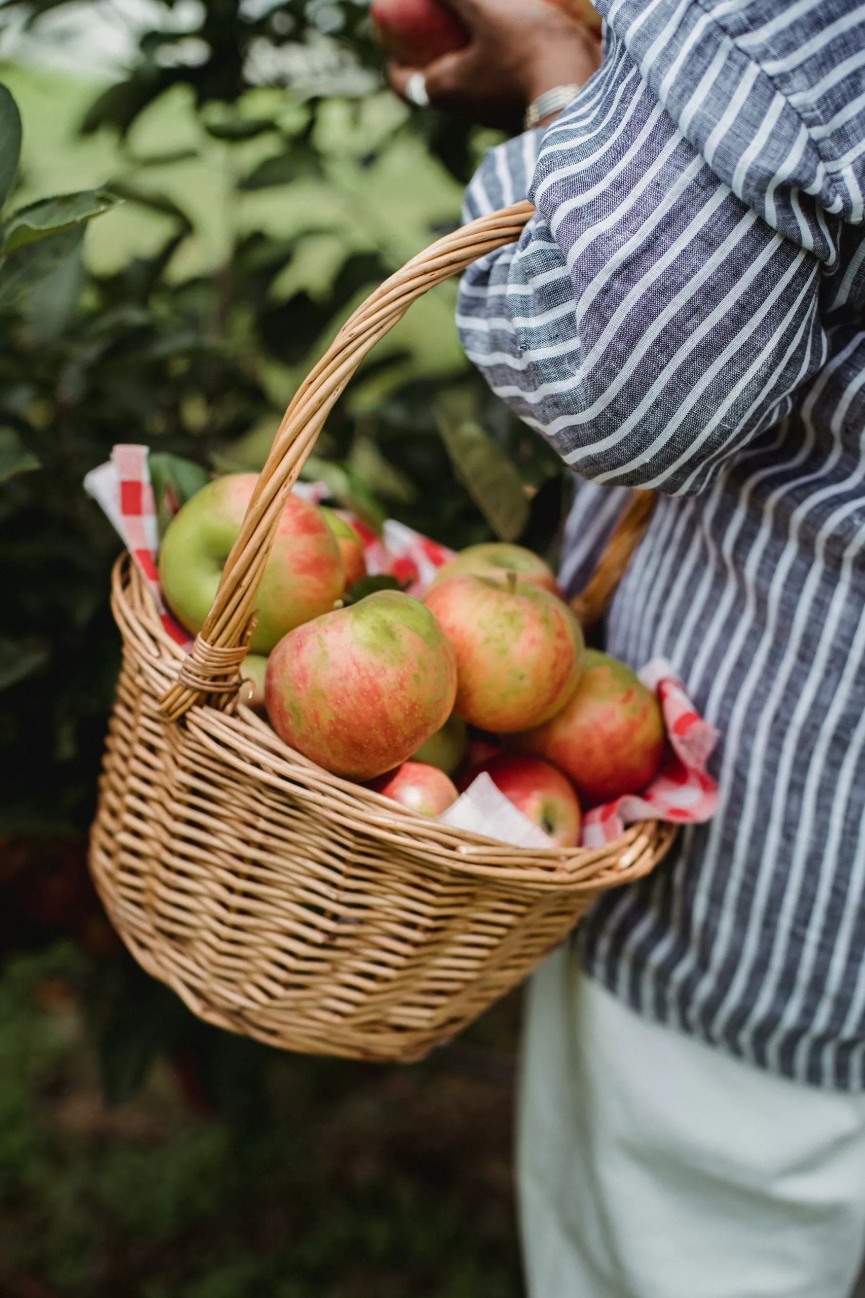 Alimentation durable et éco-responsable, PASCAL NOURTIER, NUTRITIONNISTE QUIMPER, BREST, PARIS