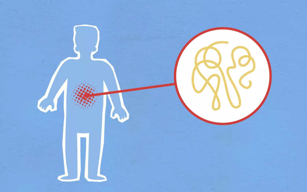 Flore intestinale et printemps