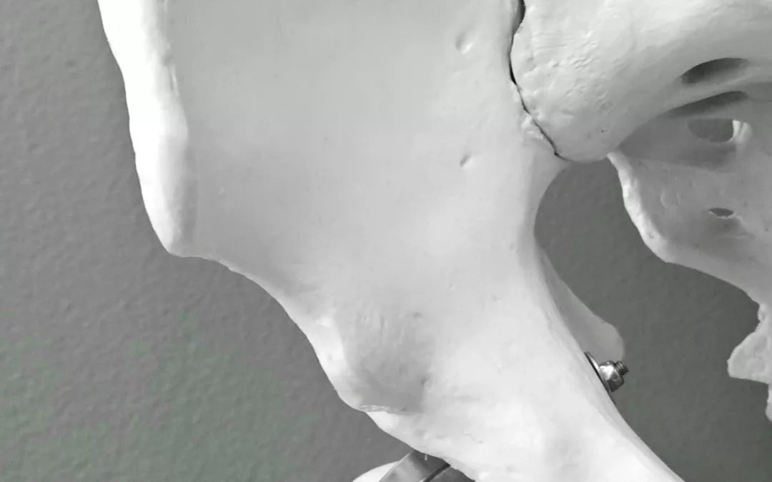 Alimentation et ostéoporose