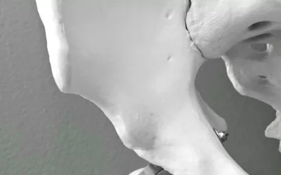 Alimentation et ostéoporose