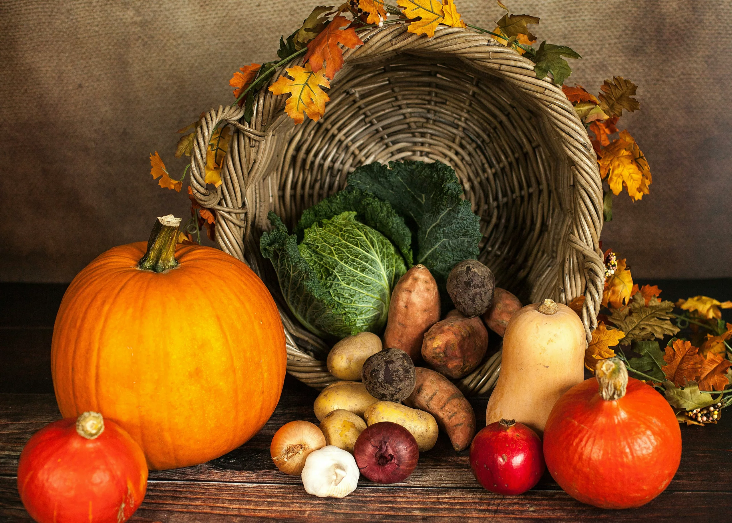 Menus d’automne et d’hiver pour perdre du poids avec l'accompagnement personnalisé de PASCAL NOURTIER, NUTRITIONNISTE A BREST, QUIMPER, PARIS.