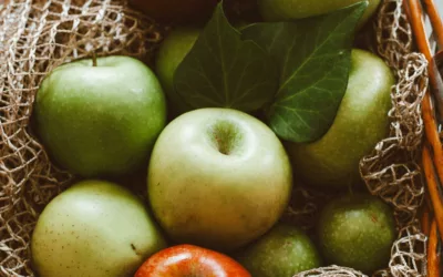 Polyphénols des pommes bretonnes et algues