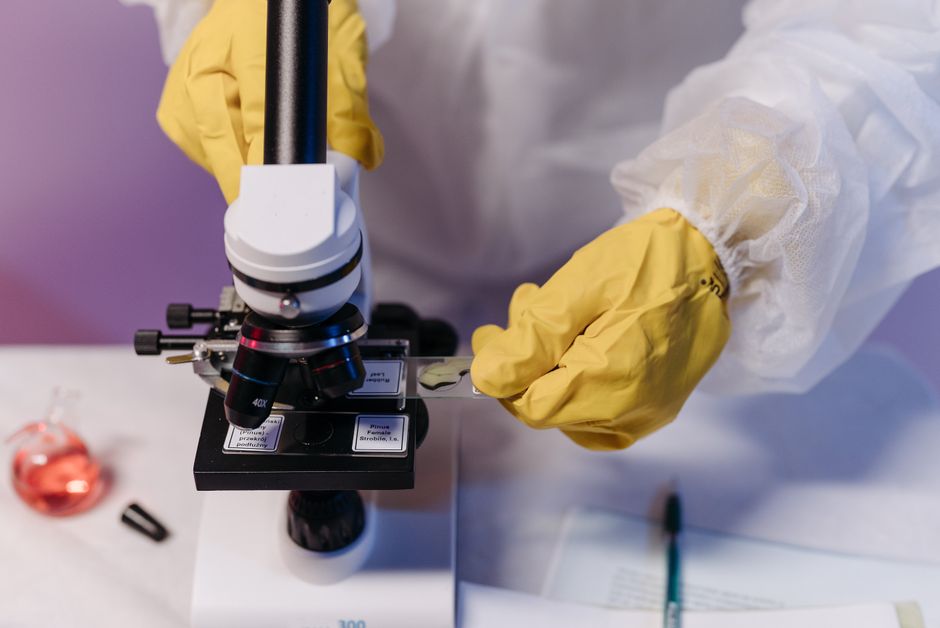Les analyses biologiques utiles en micronutrition Les analyses biologiques utiles en micronutrition – consultation nutritionniste