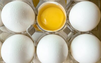 nutriments indispensables immunité
